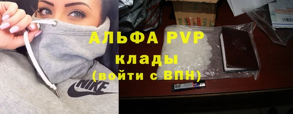 гашик Новодвинск