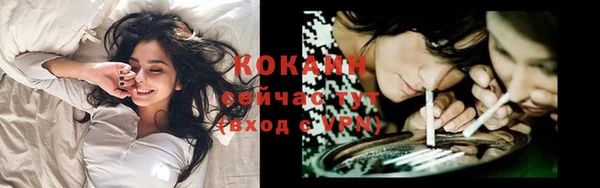 таблы Новокубанск