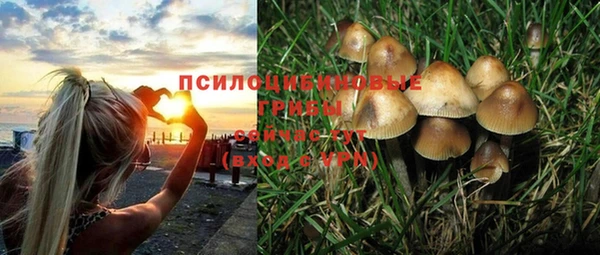 бутират Новозыбков