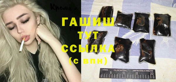 гашик Новодвинск
