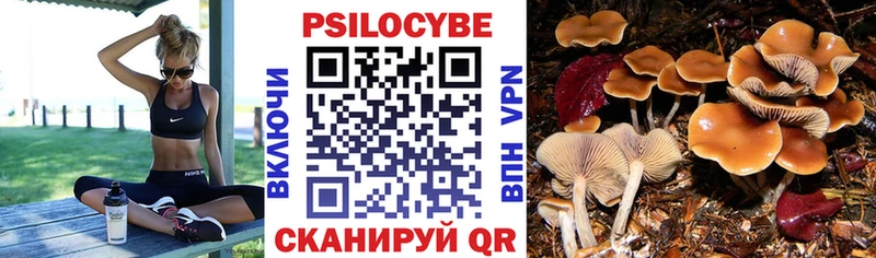 Галлюциногенные грибы Psilocybe  Купить  Костерёво 